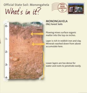 Monongahela soil profile